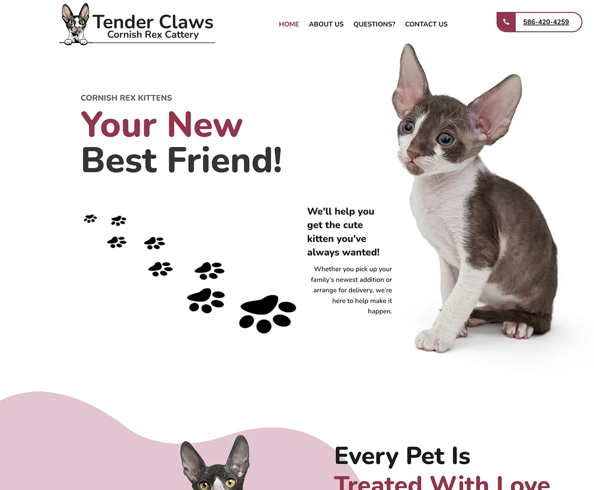 Website design sample 2